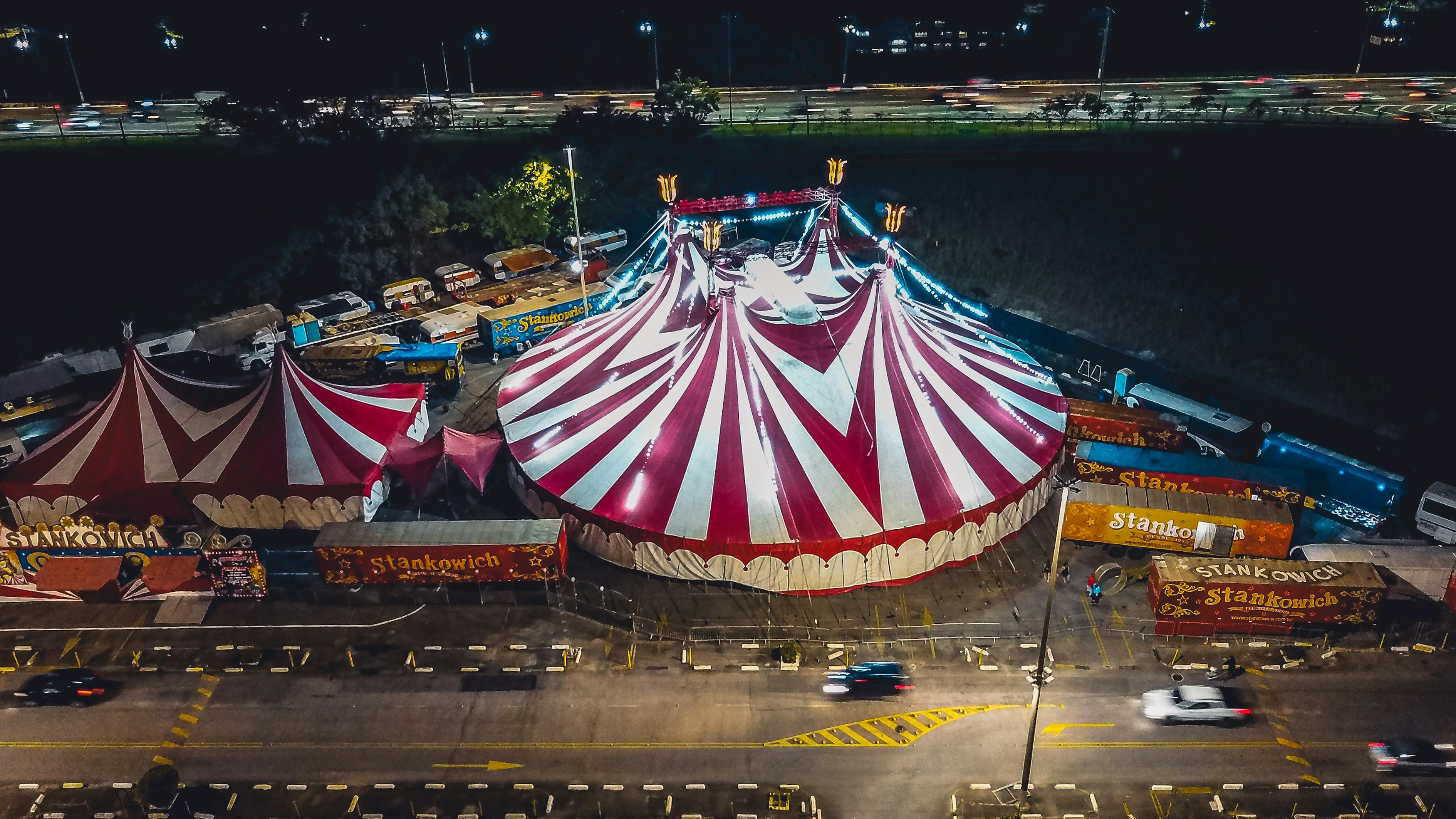 尼龙切片最新价格动态及市场分析综述