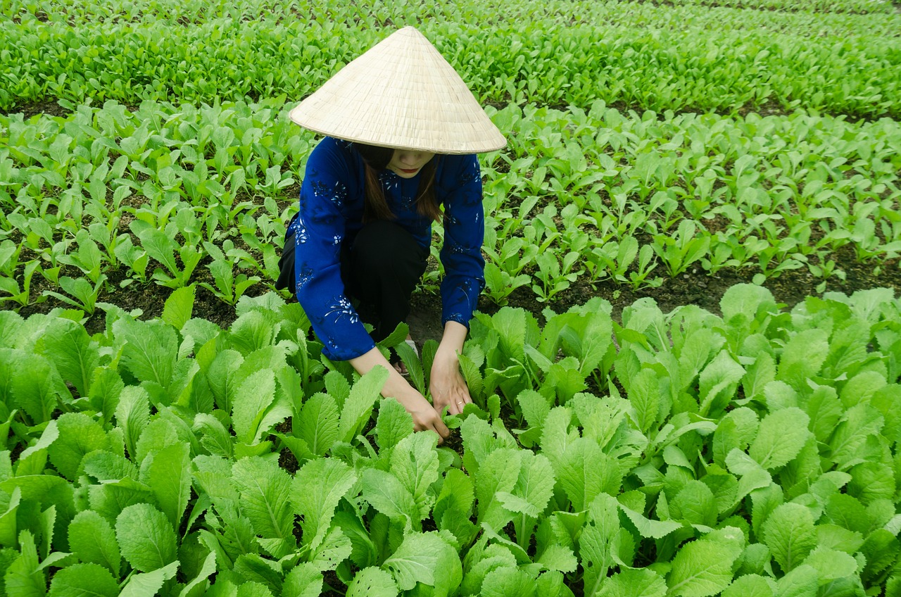 小涧西村搬迁最新动态揭秘