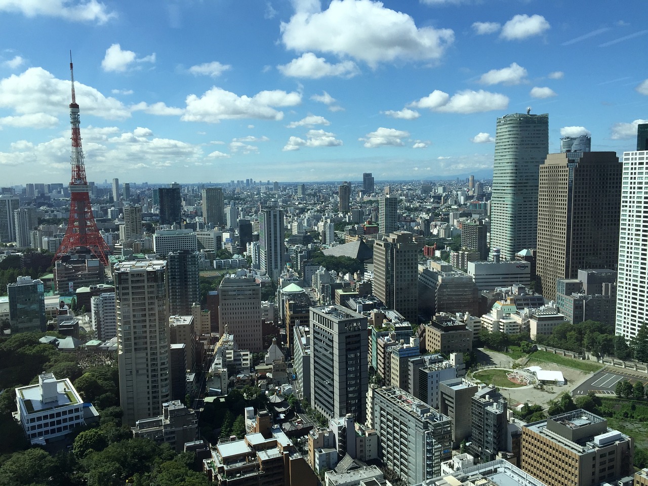 夏日梧桐雨 第5页