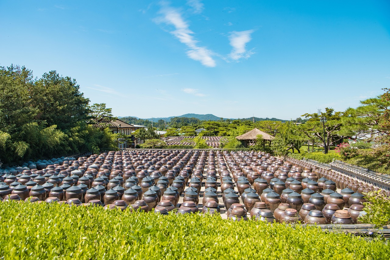 我家农场有神仙，最新奇幻之旅探索标题，我家农场神仙再现，奇幻之旅最新篇章