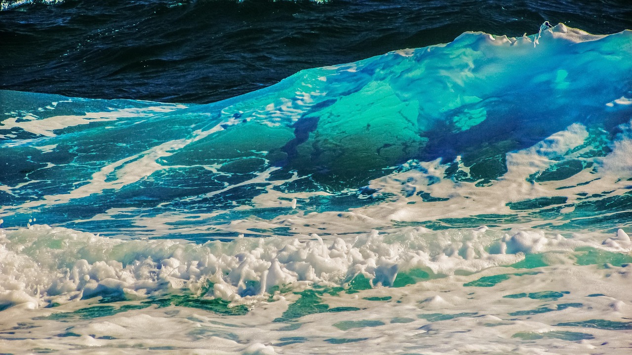 海洋日记最新更新，探索未知蓝色世界的旅程